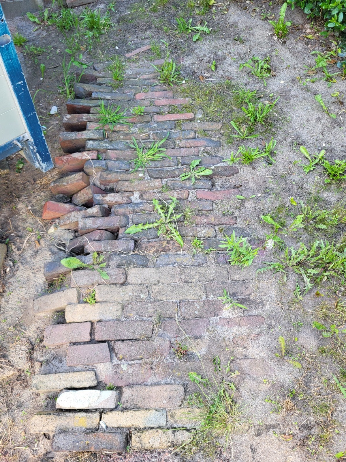 Gebruikte bakstenen, diverse kleuren, ca. 200 stuks, Ophalen