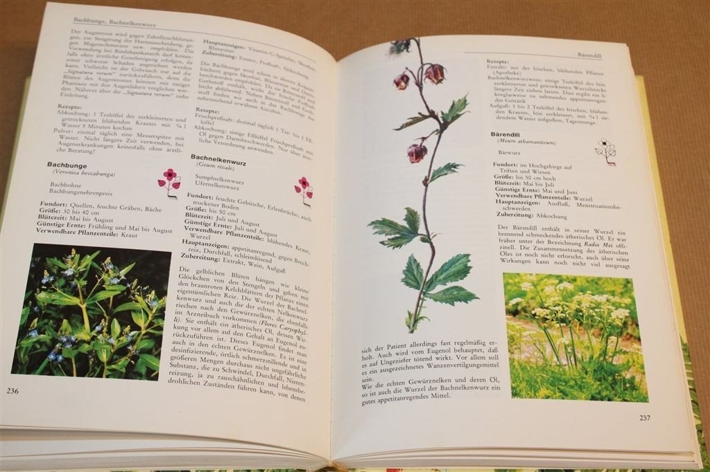 Natuurgeneeskunde — Genezen Met Geneeskruiden [DE], Boeken, Ophalen of Verzenden, Gelezen, Overige onderwerpen, Achtergrond en Informatie