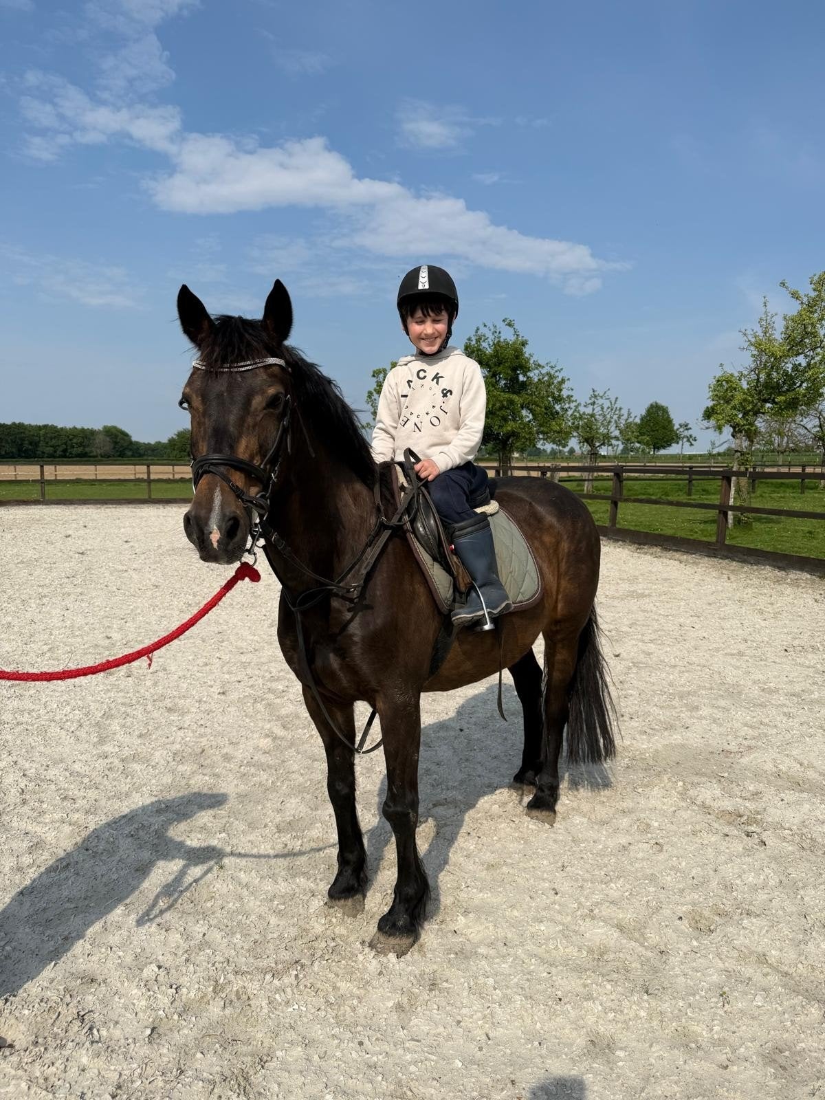 Recreatie pony te koop, Dieren en Toebehoren, Merrie, Minder dan 160 cm, Niet van toepassing, Dressuurpaard