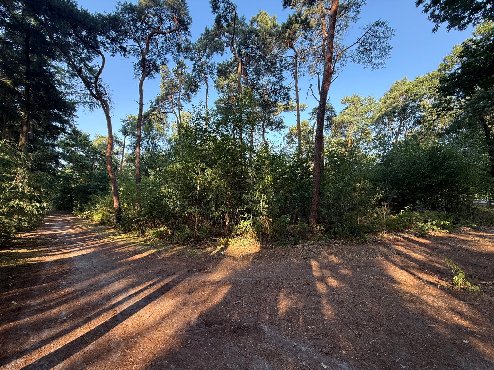 Bosperceel van 1.333 m² nabij de Surfstek (water), Verkoop zonder makelaar, 1000 tot 1500 m²