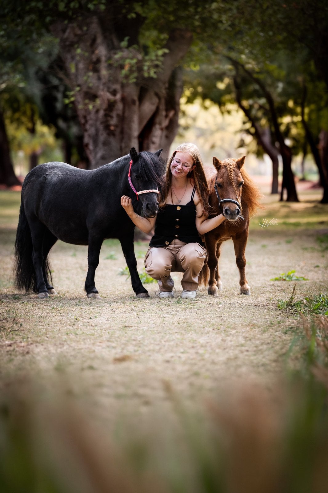 Gezocht: extra liefde en aandacht voor mijn pony’s, Dieren en Toebehoren, Ophalen of Verzenden, Nieuw, Veelzijdigheid