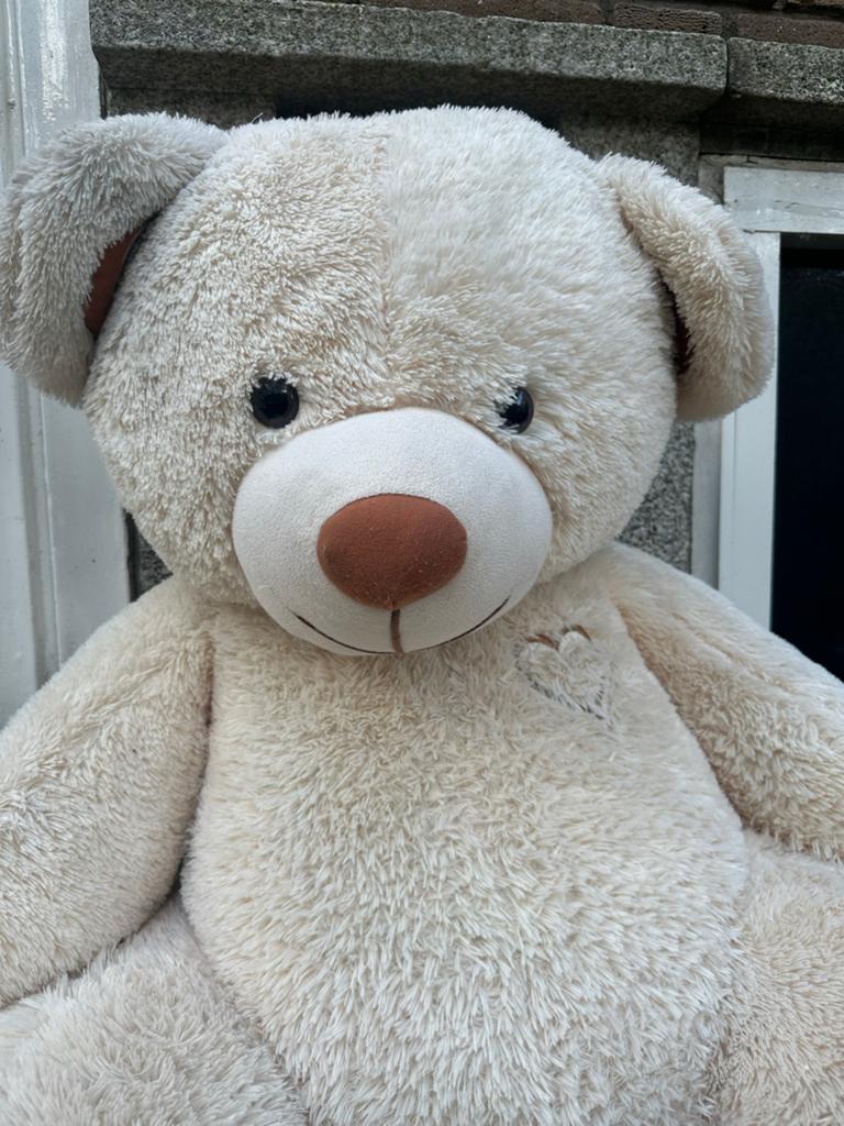 Grote teddybeer met 'I love you'  prijzen onderhandelbaar!!, Kinderen en Baby's, Speelgoed | Knuffels en Pluche, Beer, Ophalen of Verzenden