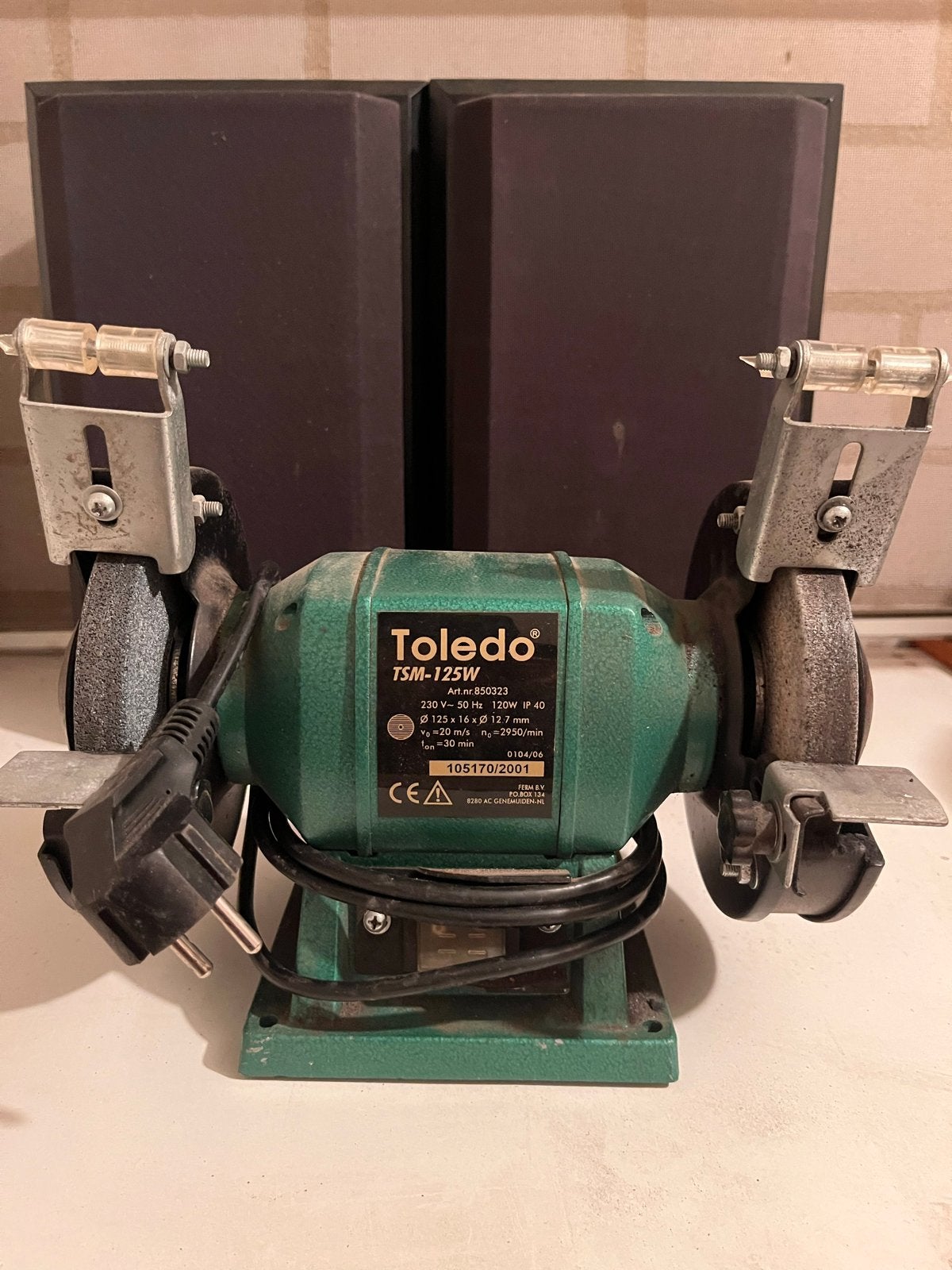 Toledo TSM-125W Werkbankslijpmachine, Doe-het-zelf en Verbouw, Gereedschap | Slijpmachines, Ophalen of Verzenden, Gebruikt, Minder dan 700 watt