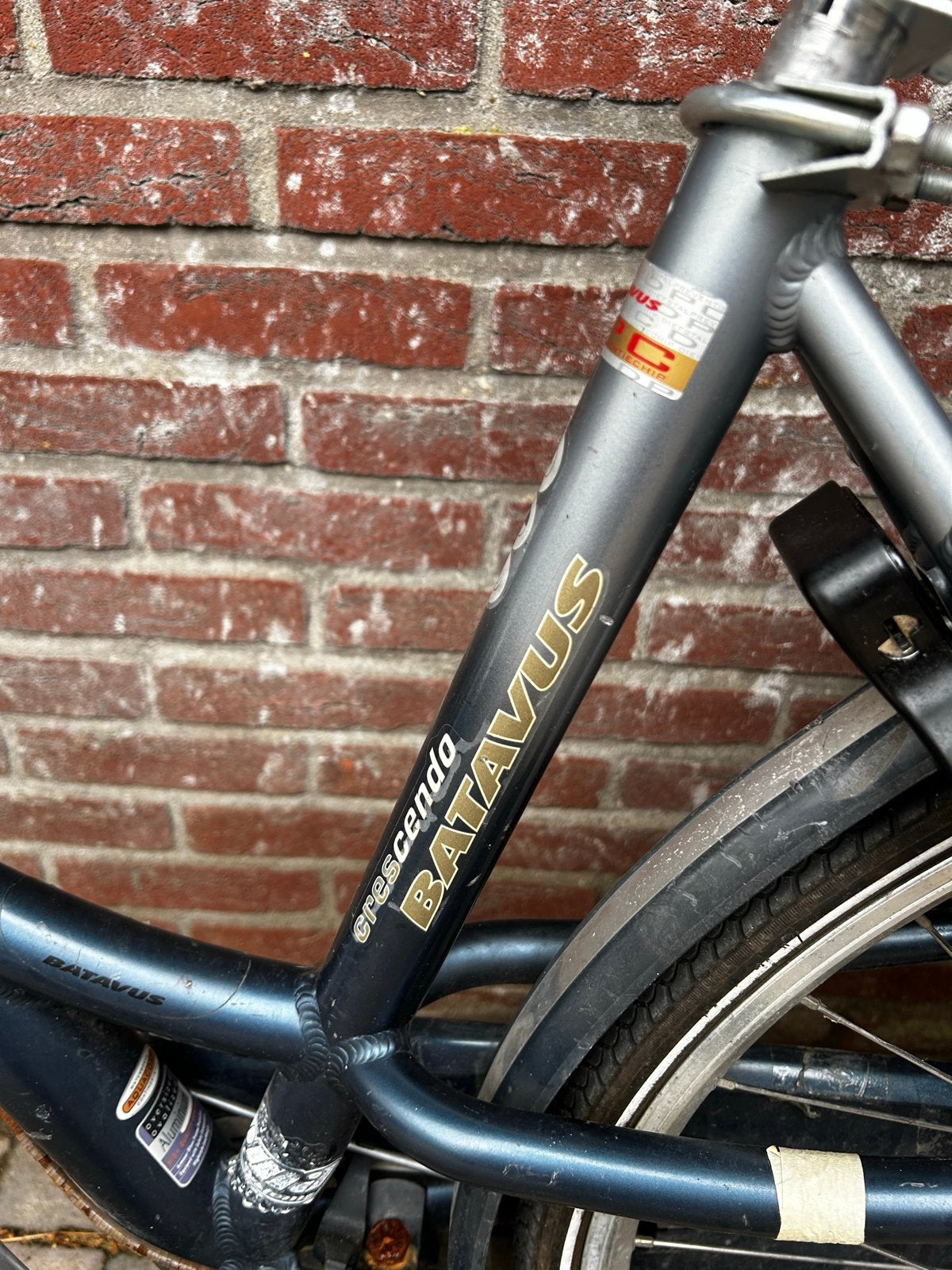 Batavus Crescendo damesfiets, framemaat 47, 28 inch, Fietsen en Brommers, Fietsen | Dames | Damesfietsen, 47 tot 50 cm, Ophalen
