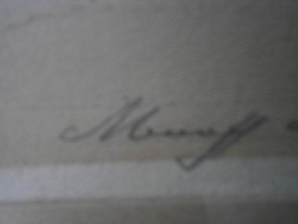 VIANEN, Mooie winterse ets door van Hemert, (p.Scheen ), Antiek en Kunst, Kunst | Etsen en Gravures, Ophalen of Verzenden, Ets