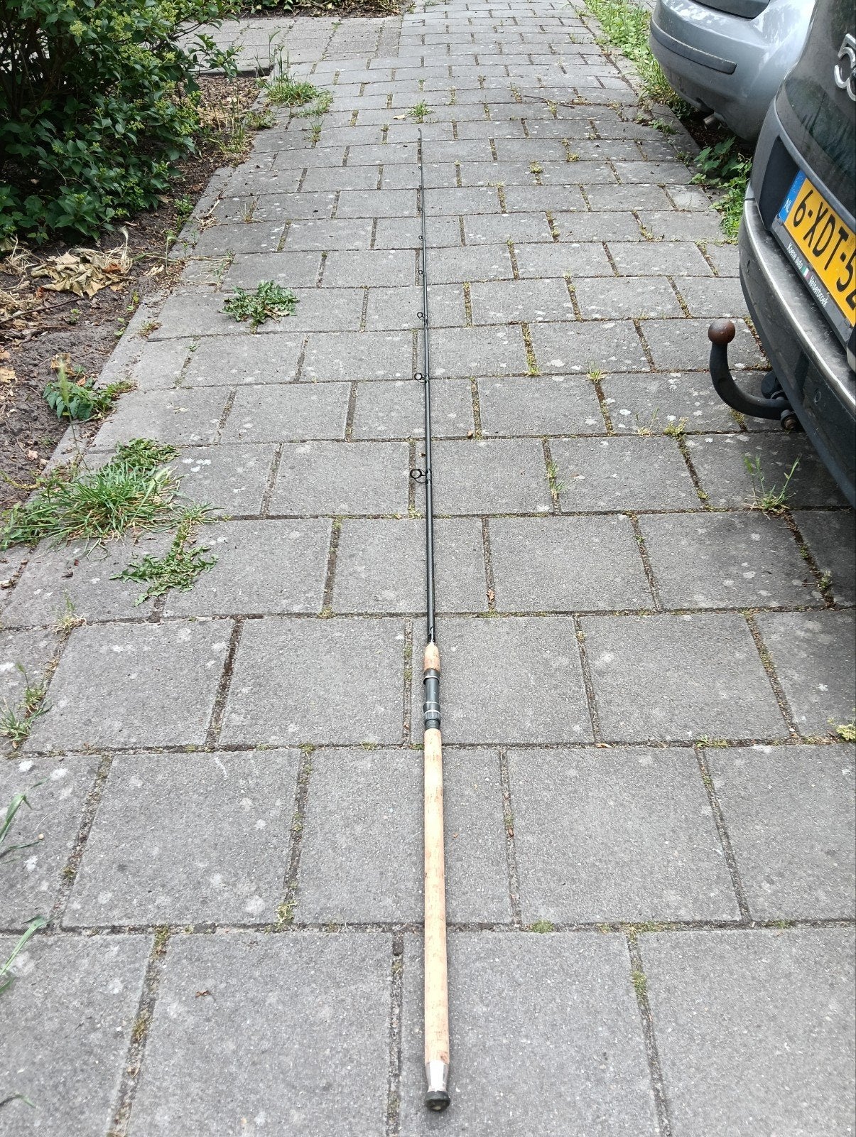 Arca Nostalgia Carp 13ft 2lbs penhengel, Watersport en Boten, Ophalen
