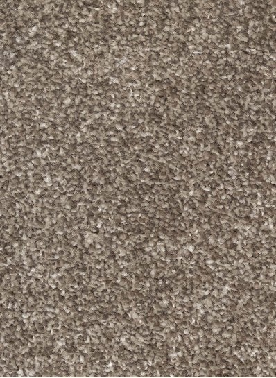 Tapijt zwart. Grijs. Woongebruik  Prijs € 20 per m2, Ophalen, Nieuw, Tapijt topkwaliteit, 75 m² of meer