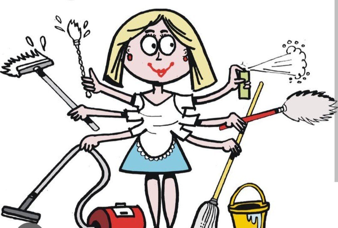 Huishoudelijke hulp schoonmaakster aangeboden, Ophalen, Nieuw, Zwart