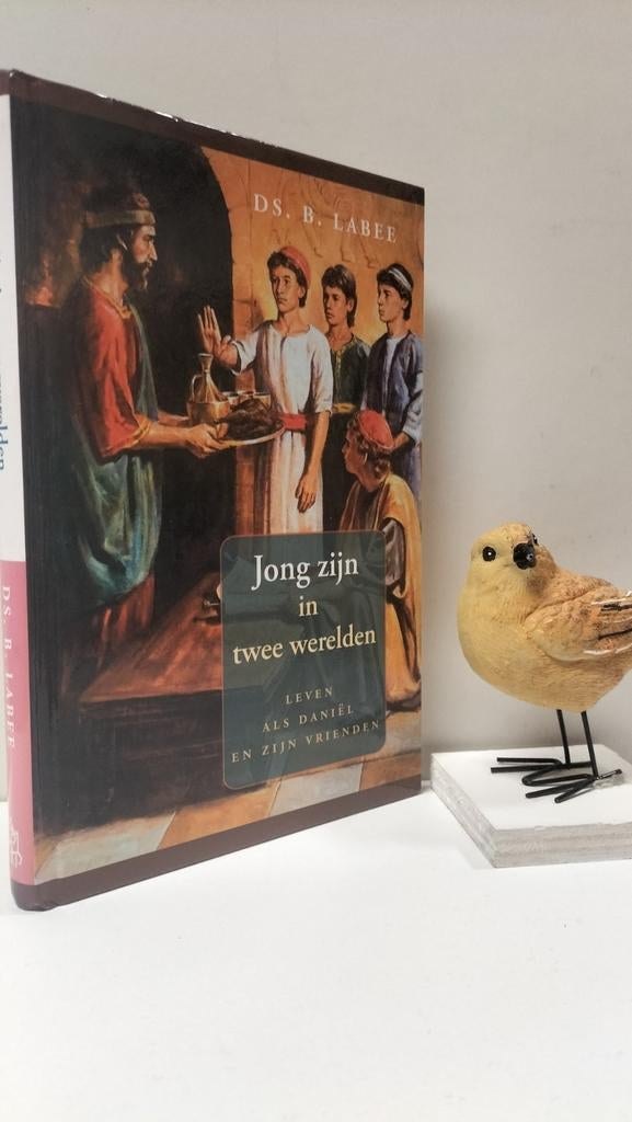 Labee, Ds. B.; Jong zijn in twee werelden, Boeken, Godsdienst en Theologie, Gelezen, Christendom | Protestants, Ophalen of Verzenden