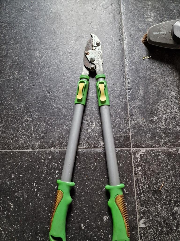 Telescopische takkenschaar - Ideaal voor snoeiwerk, Gebruikt, 30 t/m 39 mm, Onbekend, Ophalen of Verzenden