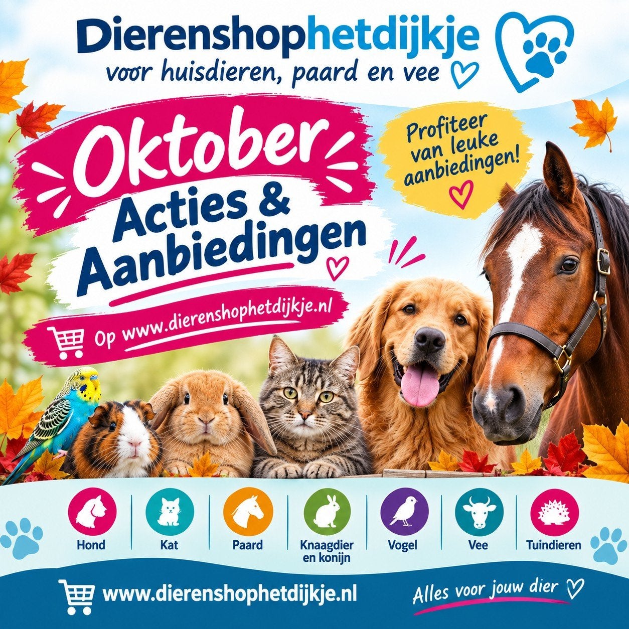 Dierenvoeding aanbieding, Ophalen of Verzenden, Hond