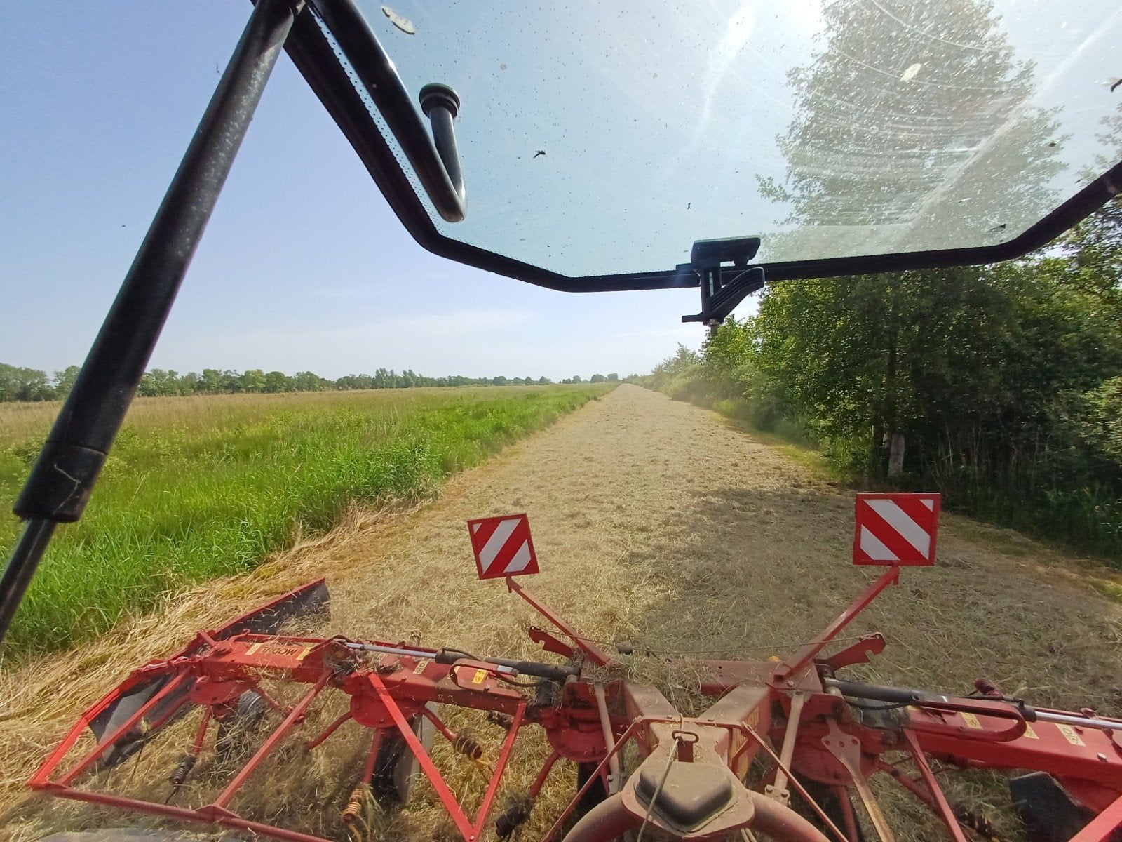 Hooi/paardenhooi, Dieren en Toebehoren, Ophalen of Verzenden, Vee