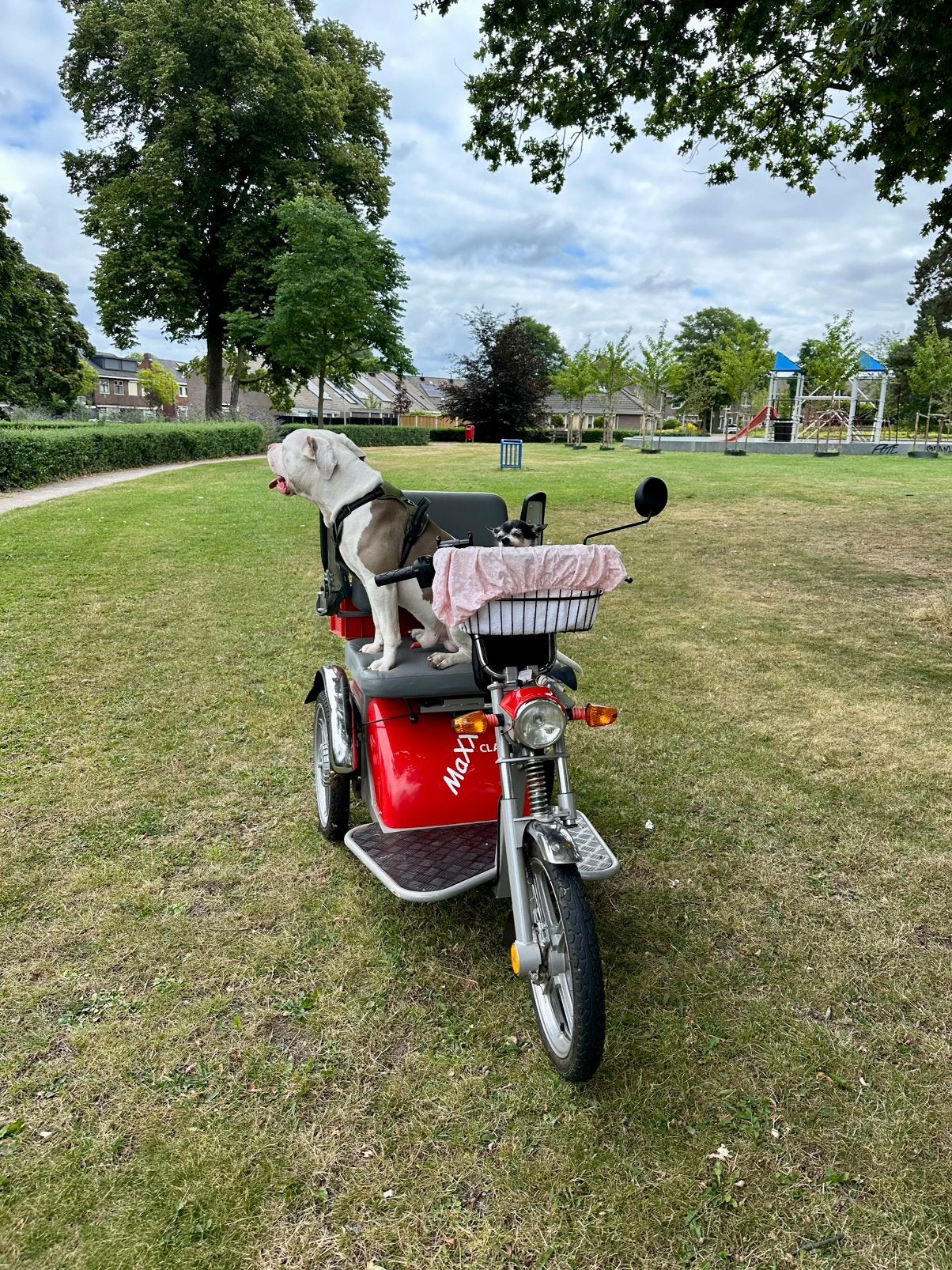Kyburz Classic Max scootmobiel Supersterk en onverwoestbaar, Zo goed als nieuw, 46 km of meer, 11 t/m 15 km/u, Ophalen