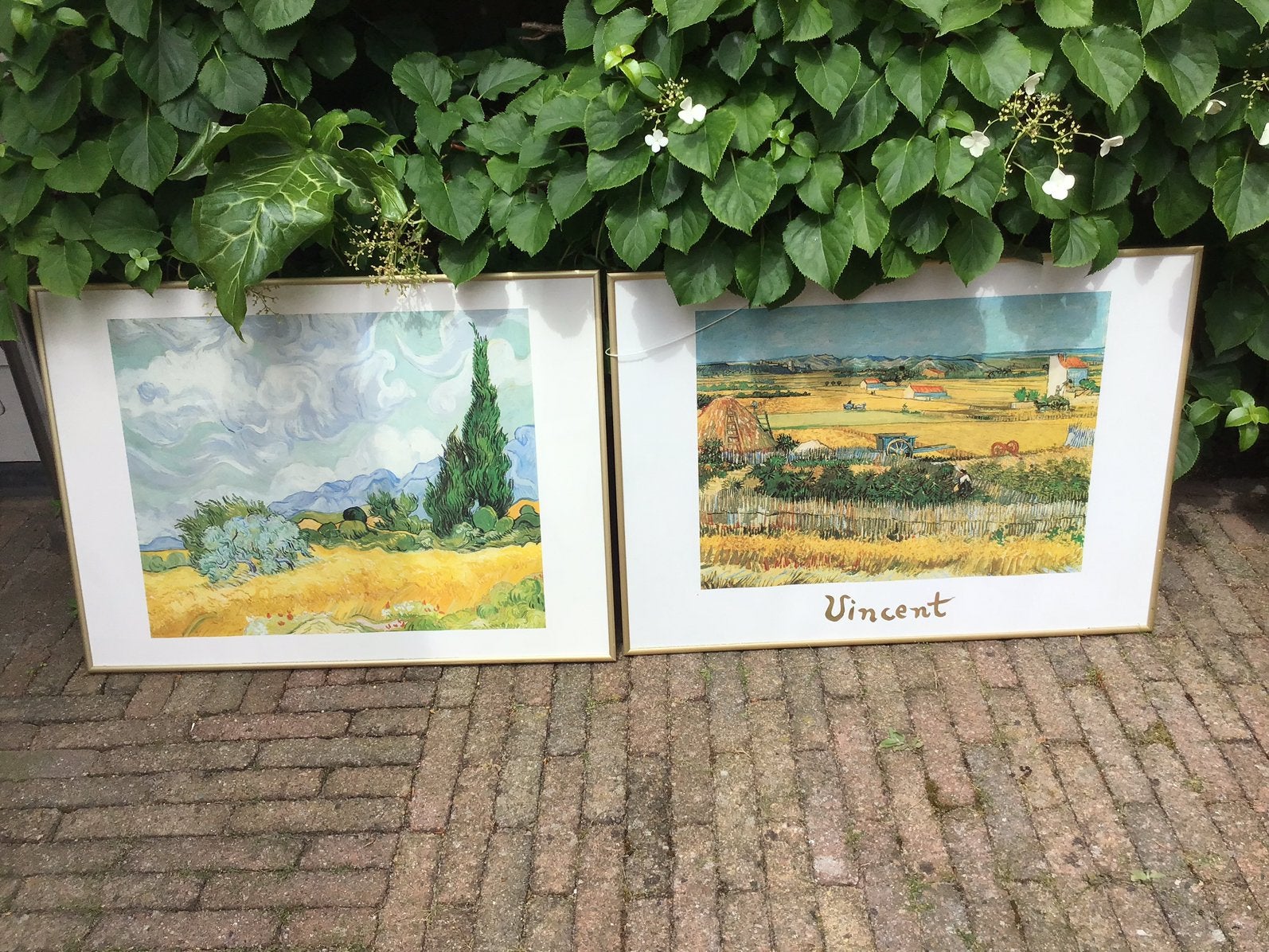 Reproductie van Vincent, Ophalen