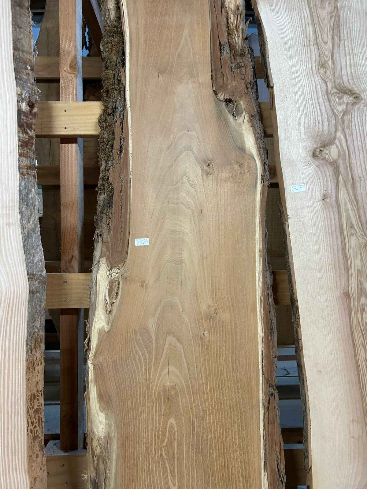Nr 172/ robinia boomstamblad ca 5x40x230cm, Ophalen, Nieuw, 180 tot 250 cm, Planken