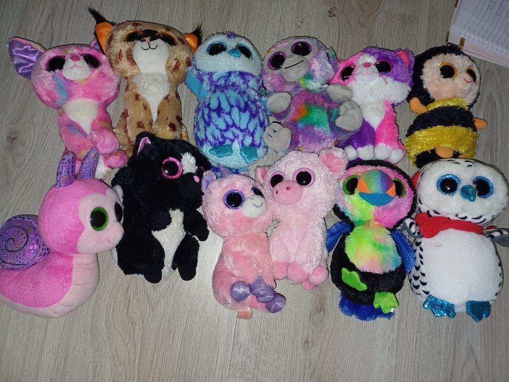 beanie boo, Ophalen of Verzenden, Overige typen