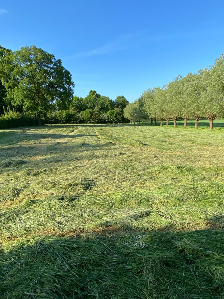 Hooibalen vierkant hooi balen baaltjes zonder plastic, Dieren en Toebehoren, Stalling en Weidegang, Weidegang, 4 paarden of pony's of meer