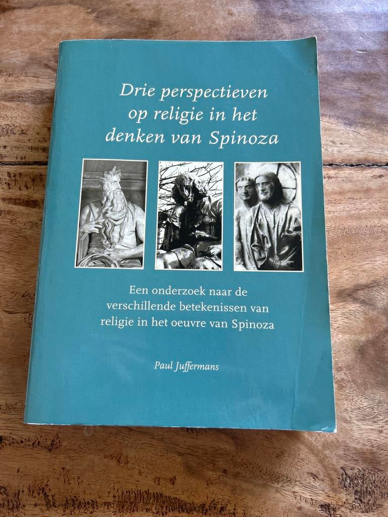 Drie perspectieven op religie in het denken van Spinoza, Ophalen of Verzenden, Gelezen, Jodendom