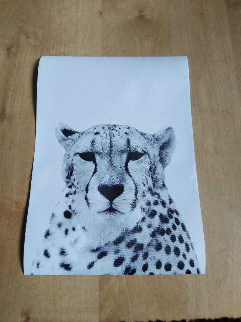 Canvas poster panter zwart wit, Minder dan 50 cm, Nieuw, Ophalen of Verzenden, Foto of Poster