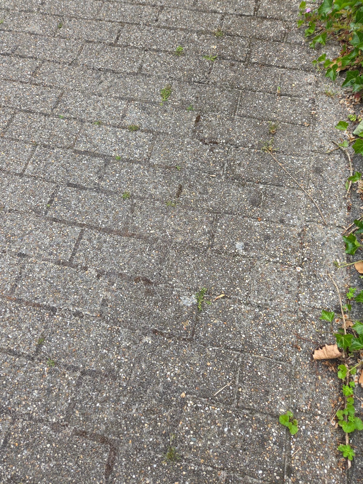 Betonklinkers, Tuin en Terras, Tegels en Klinkers, Ophalen, Beton, Klinkers