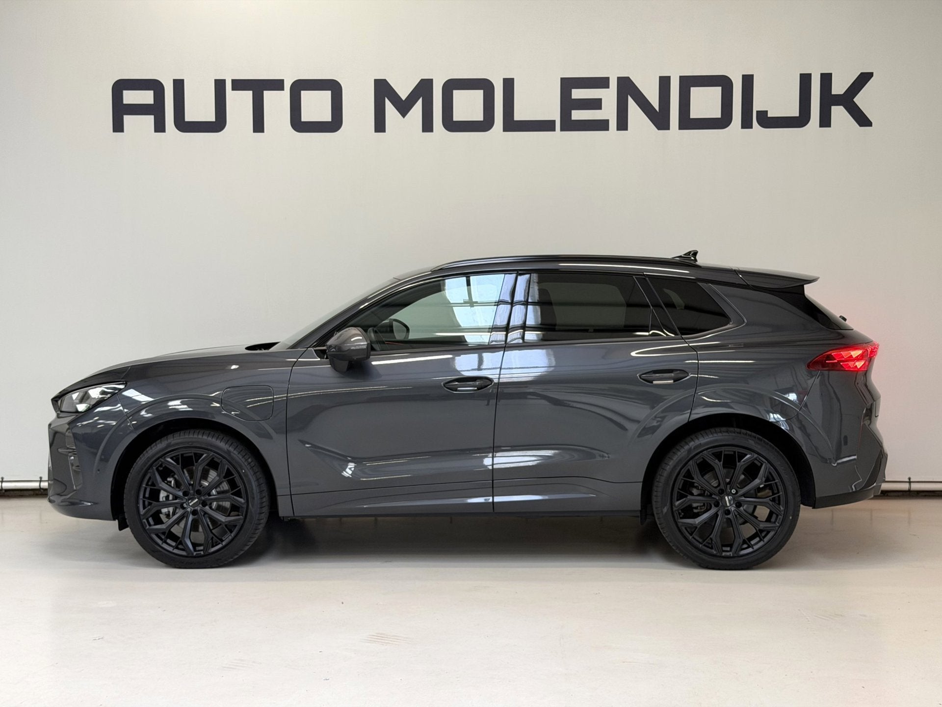 CUPRA Terramar 1.5 TSI e-Hybrid HuD / el klep / 20 inch / 36, Auto's, Cupra, Dealer onderhouden, 1798 kg, 4 cilinders, Alcantara