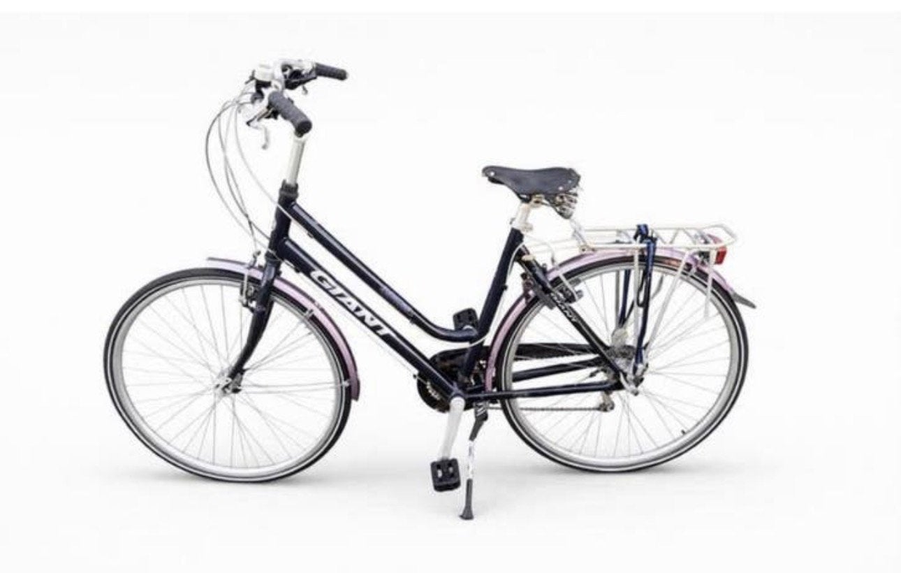 Giant Jubilee damesfiets 28 inch 8 versnellingen frame 54 cm, Fietsen en Brommers, Ophalen, Minder dan 10 versnellingen, 53 tot 56 cm