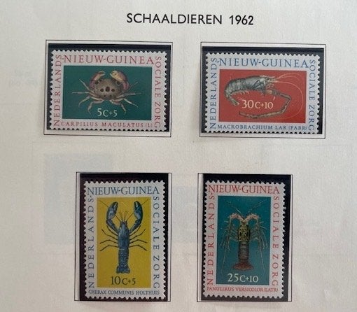 1962 Sociale Zorg, Schaaldieren  4x , Ophalen of Verzenden, Postfris, Nieuw-Guinea