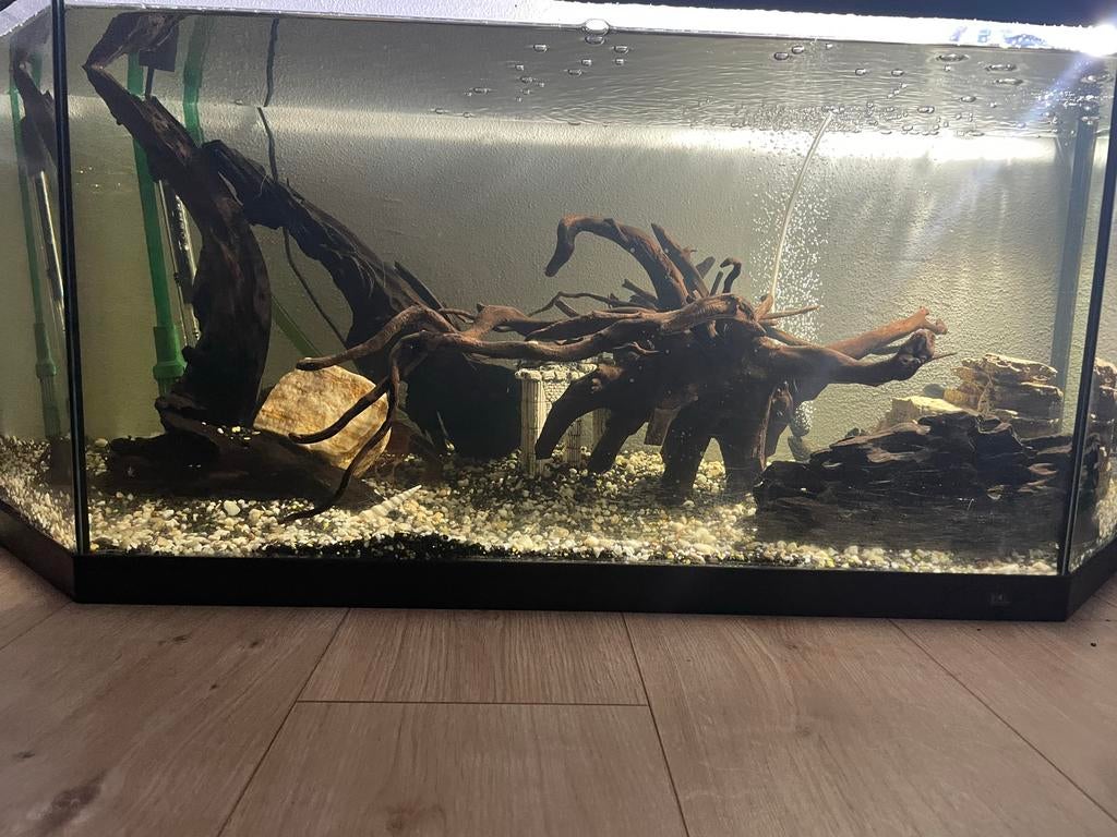 Vissen opvang, Dieren en Toebehoren, Ophalen, Nieuw, Gevuld zoetwateraquarium