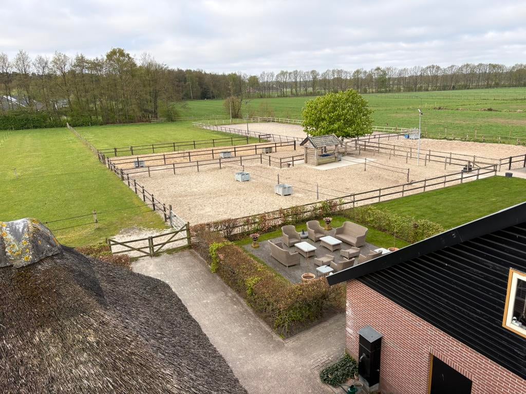 1 stal vrij, 1 paard of pony