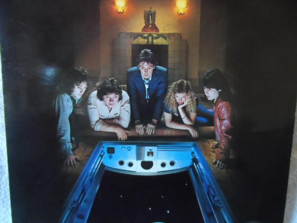 LP The Wings, Cd's en Dvd's, Ophalen of Verzenden, Gebruikt, 12 inch
