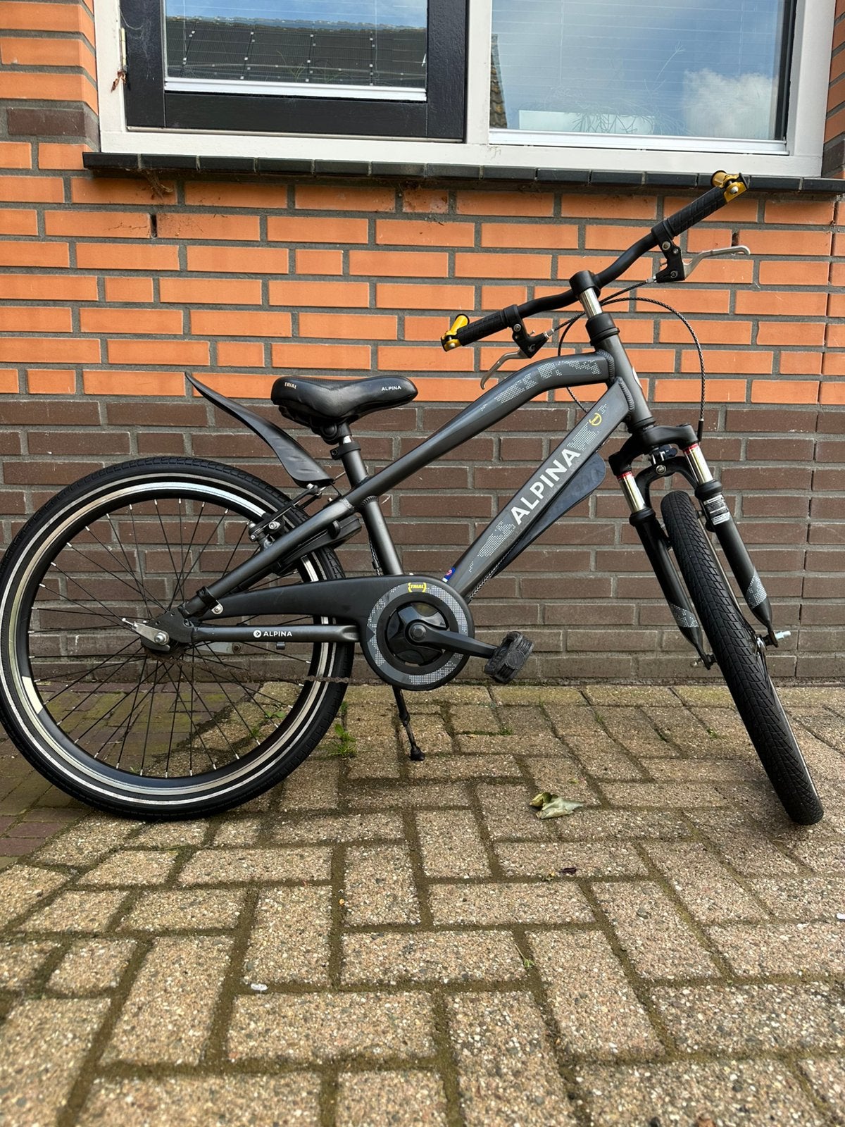Echt heel mooie Alpina Trial J22 ATB-look, Ophalen, Zo goed als nieuw, 22 inch, Handrem
