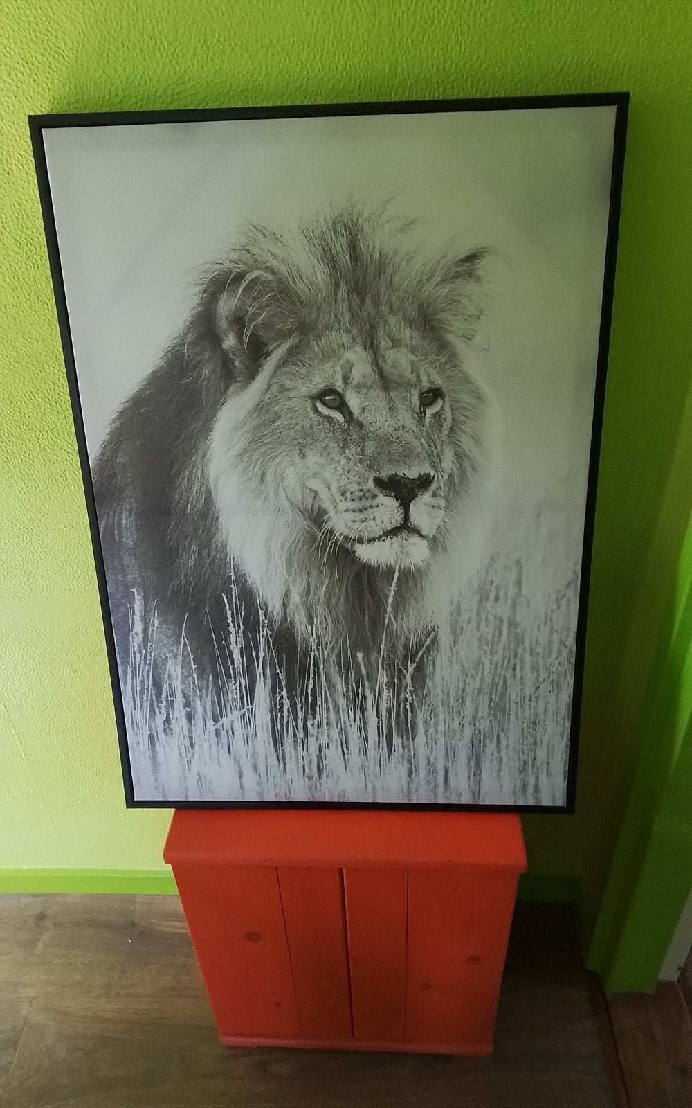 💐ZWART - WIT INGELIJST LEEUWENPORTRET, Huis en Inrichting, Woonaccessoires | Schilderijen, Tekeningen en Foto's, Ophalen, 50 tot 75 cm