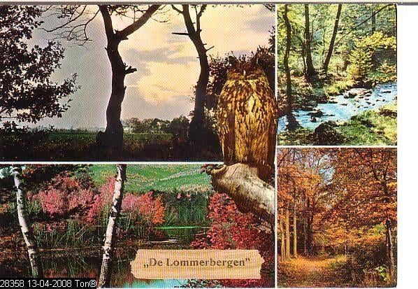 Ansichtkaart	Reuver	De Lommerbergen	4-luik	Sporthuis Centrum, Verzamelen, Ansichtkaarten | Nederland, Verzenden, 1960 tot 1980