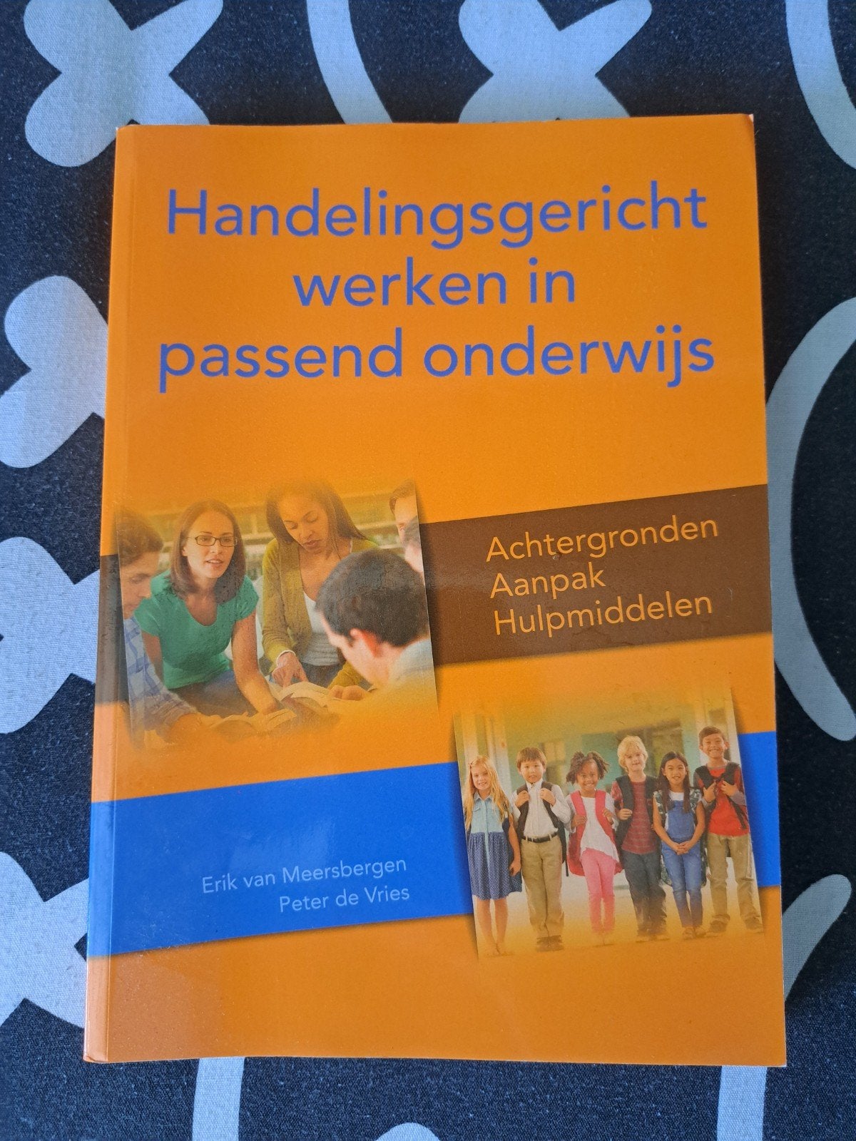 Handelingsgericht werken in passend onderwijs (Nieuw), Boeken, Nieuw, Erik van Meersbergen, Peter de Vries, Gamma, HBO
