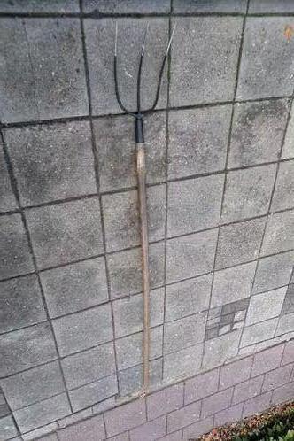 Hooivork - Lengte 200cm - Drietand - 3 stuks, Ophalen, Zo goed als nieuw, Vork