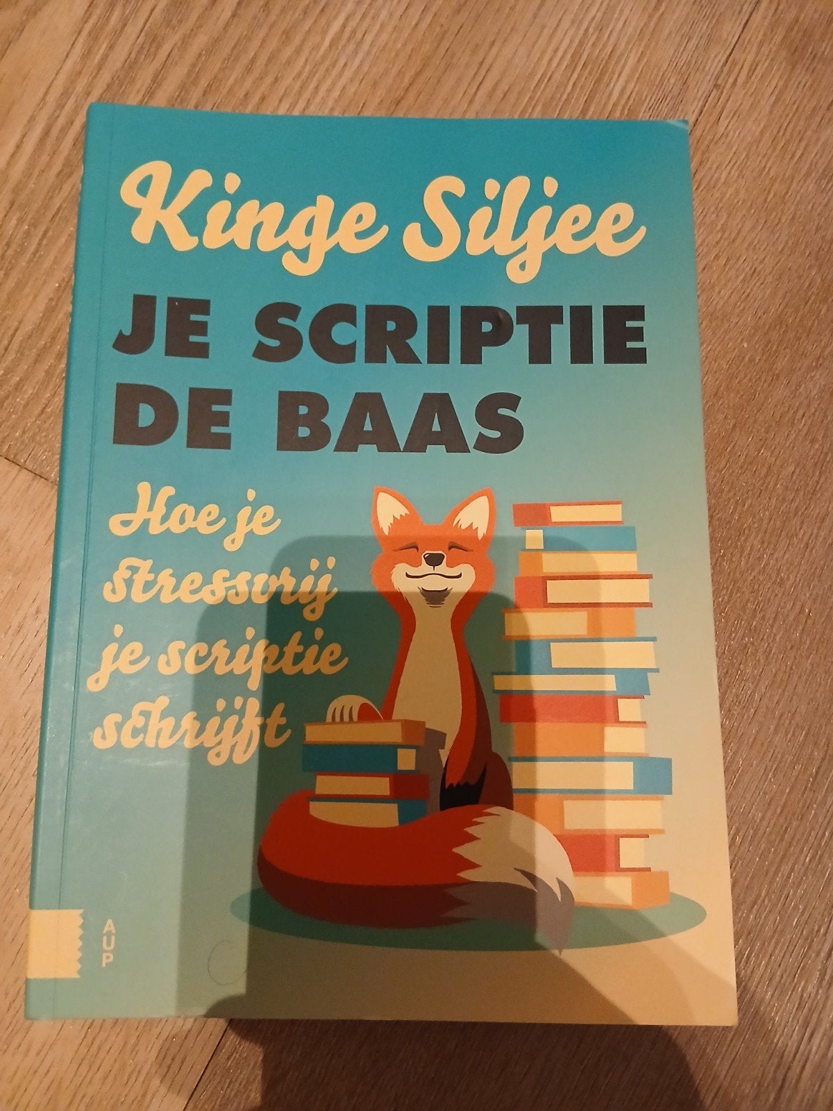 Kinge Siljee - Je scriptie de baas, Ophalen of Verzenden, Zo goed als nieuw, HBO, Kinge Siljee