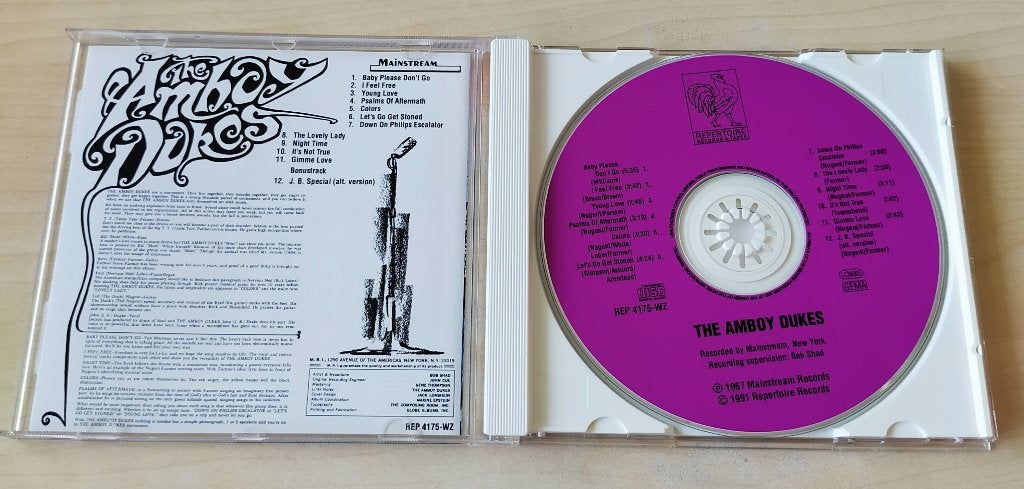 The Amboy Dukes CD 1967/1991 Ted Nugent, Cd's en Dvd's, Cd's | Rock, Ophalen of Verzenden, Zo goed als nieuw, Psychedelic Rock
