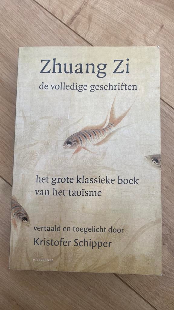 Kristofer Schipper - Zhuang Zi, Boeken, Ophalen of Verzenden, Zo goed als nieuw, Kristofer Schipper