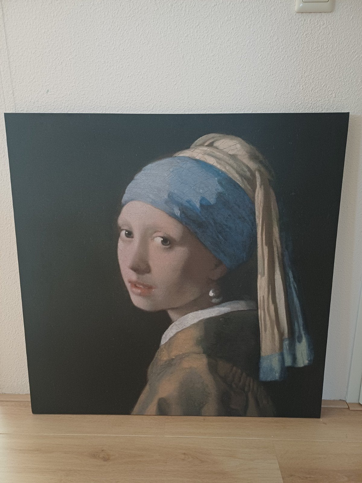 Het meisje met de parel, Huis en Inrichting, Woonaccessoires | Schilderijen, Tekeningen en Foto's, Ophalen, Zo goed als nieuw