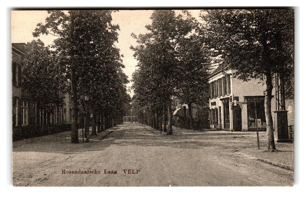 Velp, Rosendaalsche Laan, Verzenden, 1940 tot 1960, Ongelopen, Gelderland