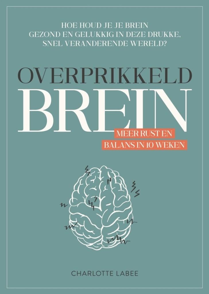 Overprikkeld Brein, Verzenden, Zo goed als nieuw, Charlott Labee, Cognitieve psychologie