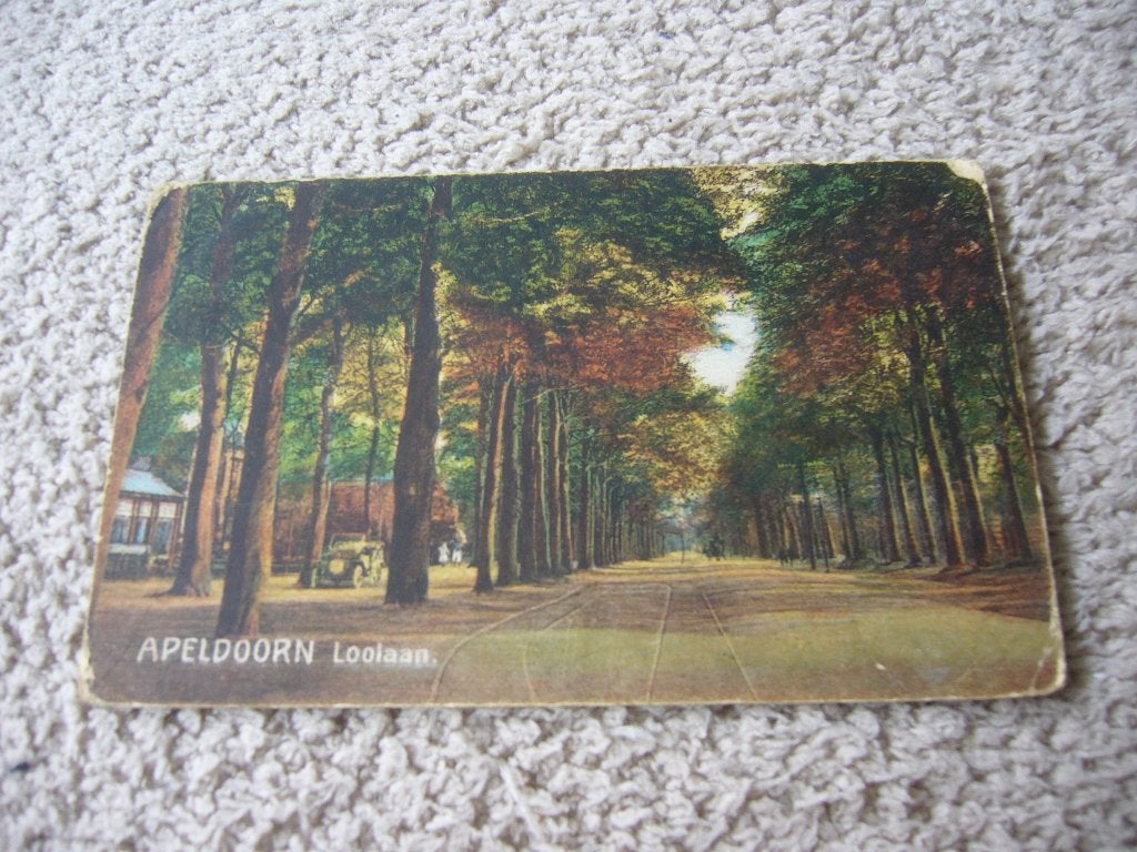 APELDOORN  =  LOOLAAN 1920, Ophalen of Verzenden, Voor 1920, Gelopen, Gelderland