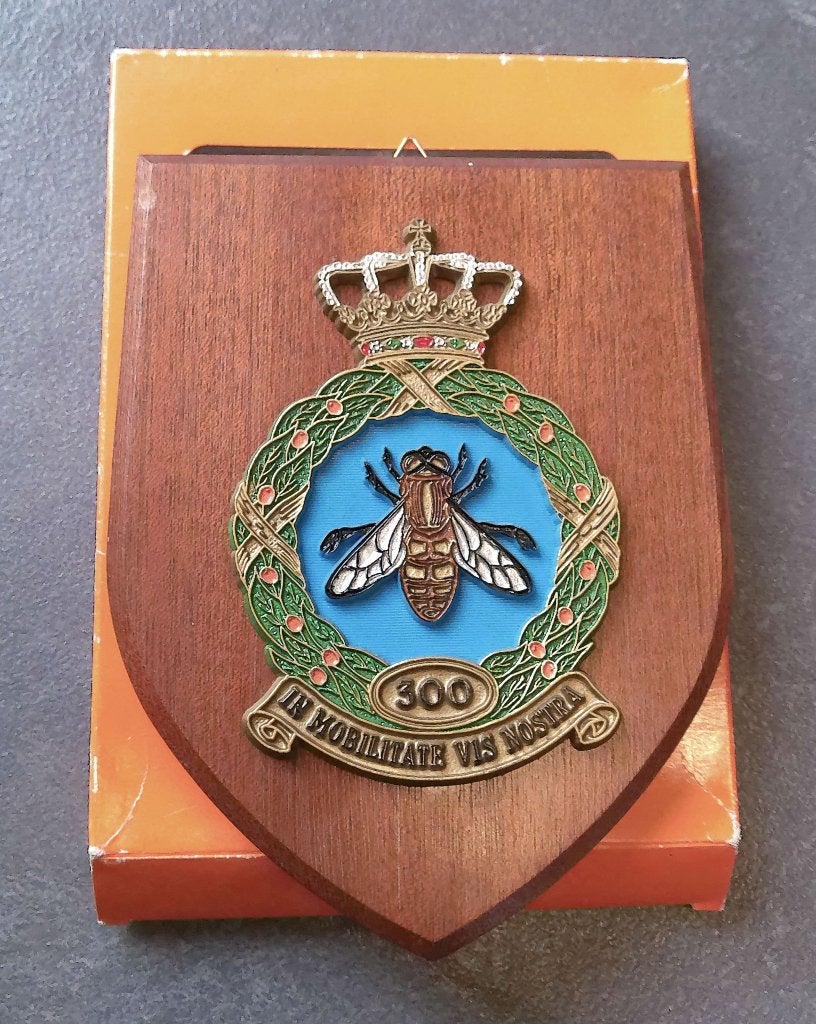 Wapenschild Koninklijke Luchtmacht 300 Squadron bromvlieg, Verzenden, Luchtmacht, Nederland, Overige typen