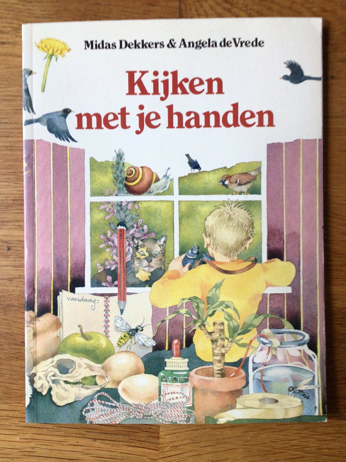 Midas Dekkers, Angela de Vrede, Kijken met je handen, Ophalen of Verzenden, Zo goed als nieuw, Non-fictie
