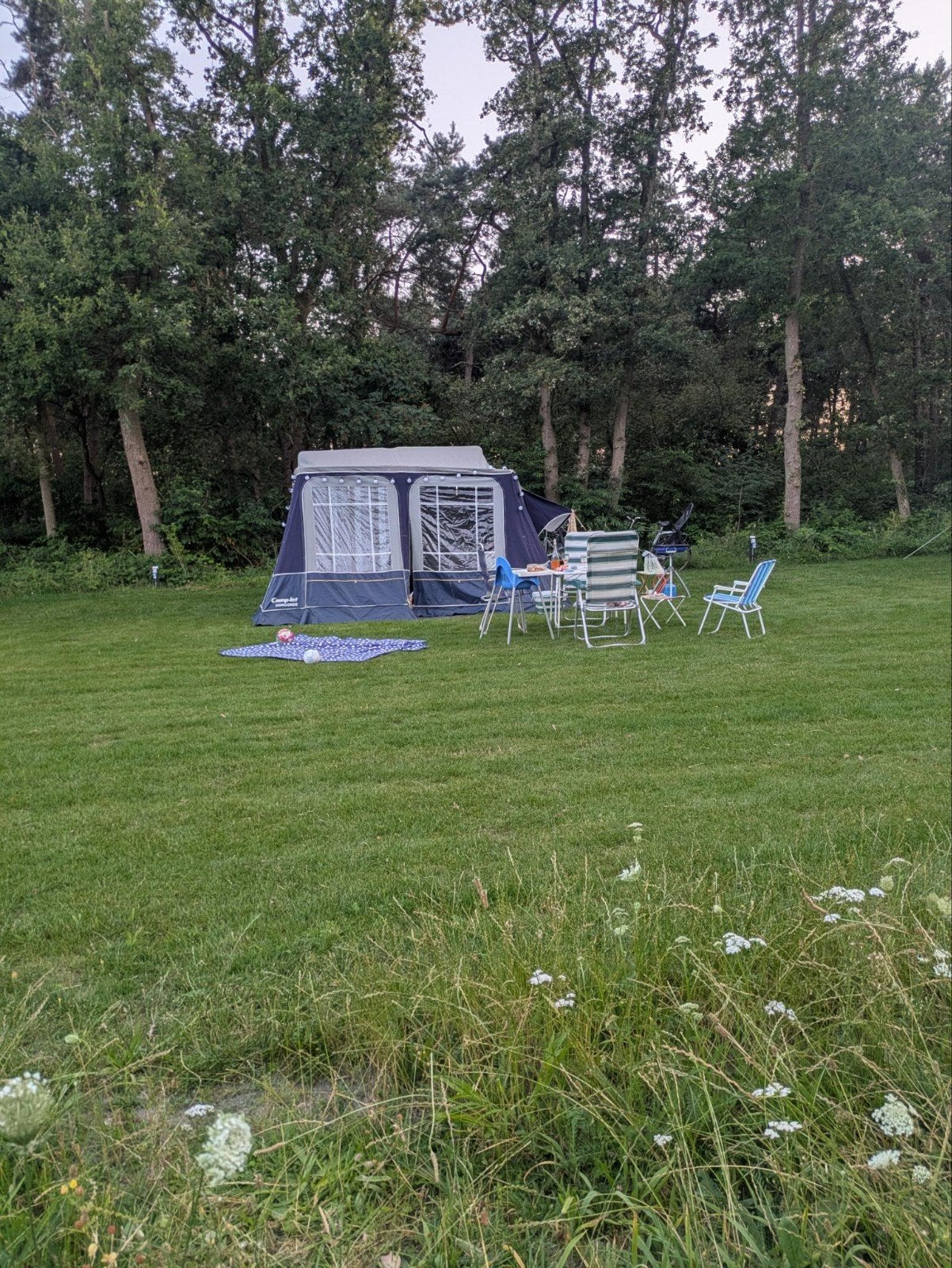 GEZOCHT: Gastencabine camplet concorde, Caravans en Kamperen, Ophalen of Verzenden, Tot en met 4