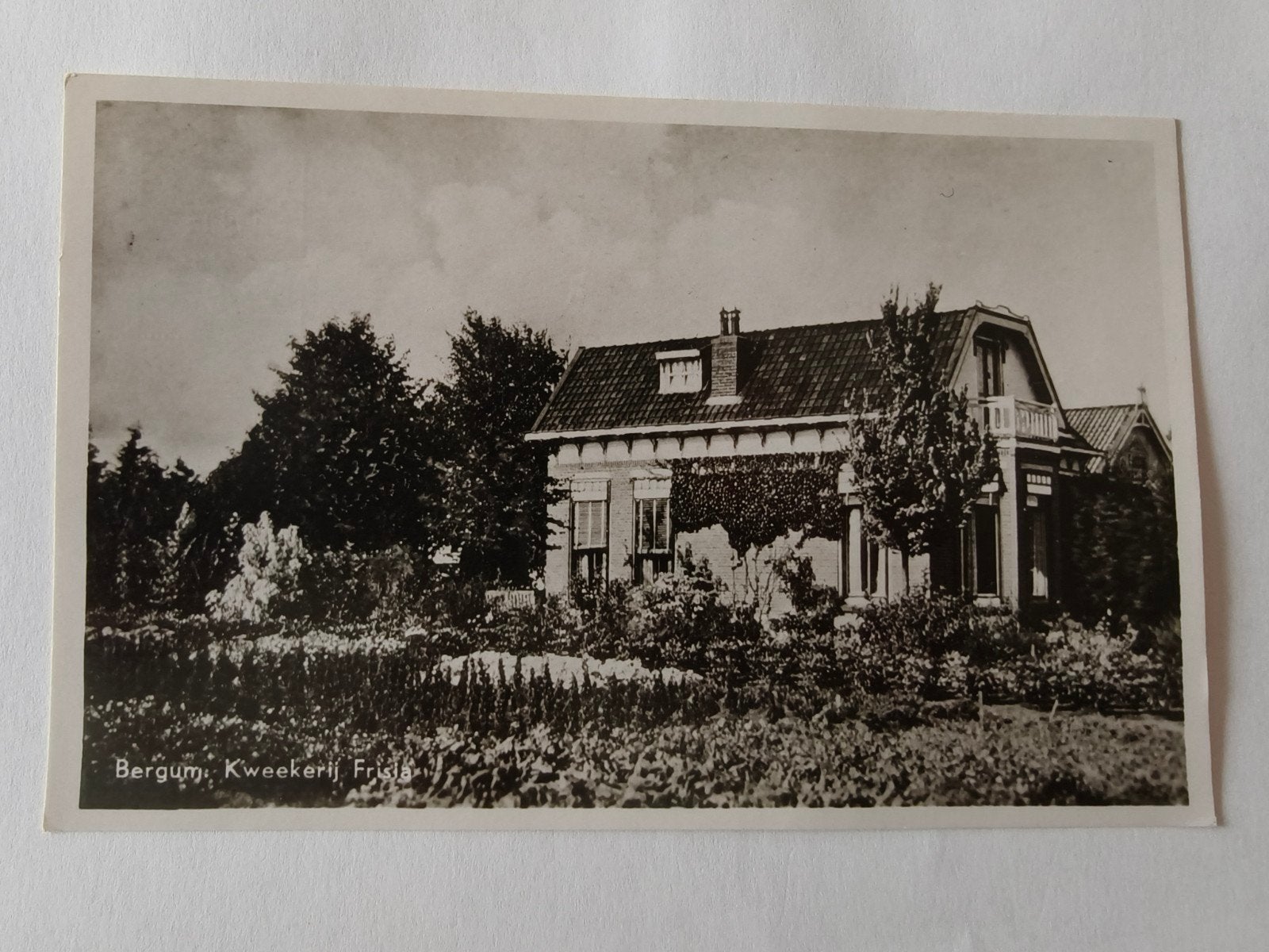 Kwekerij Frisia in Bergum, Ophalen, Ongelopen