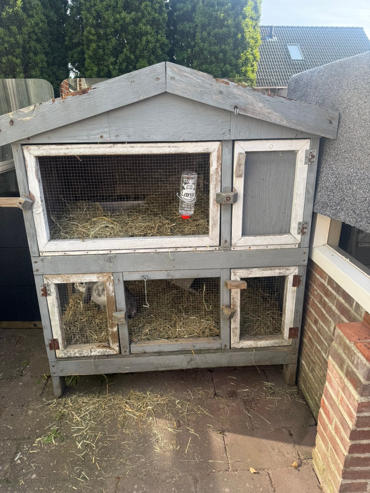 Rammetje+hok, Ophalen, Cavia, 90 cm of meer, Hok