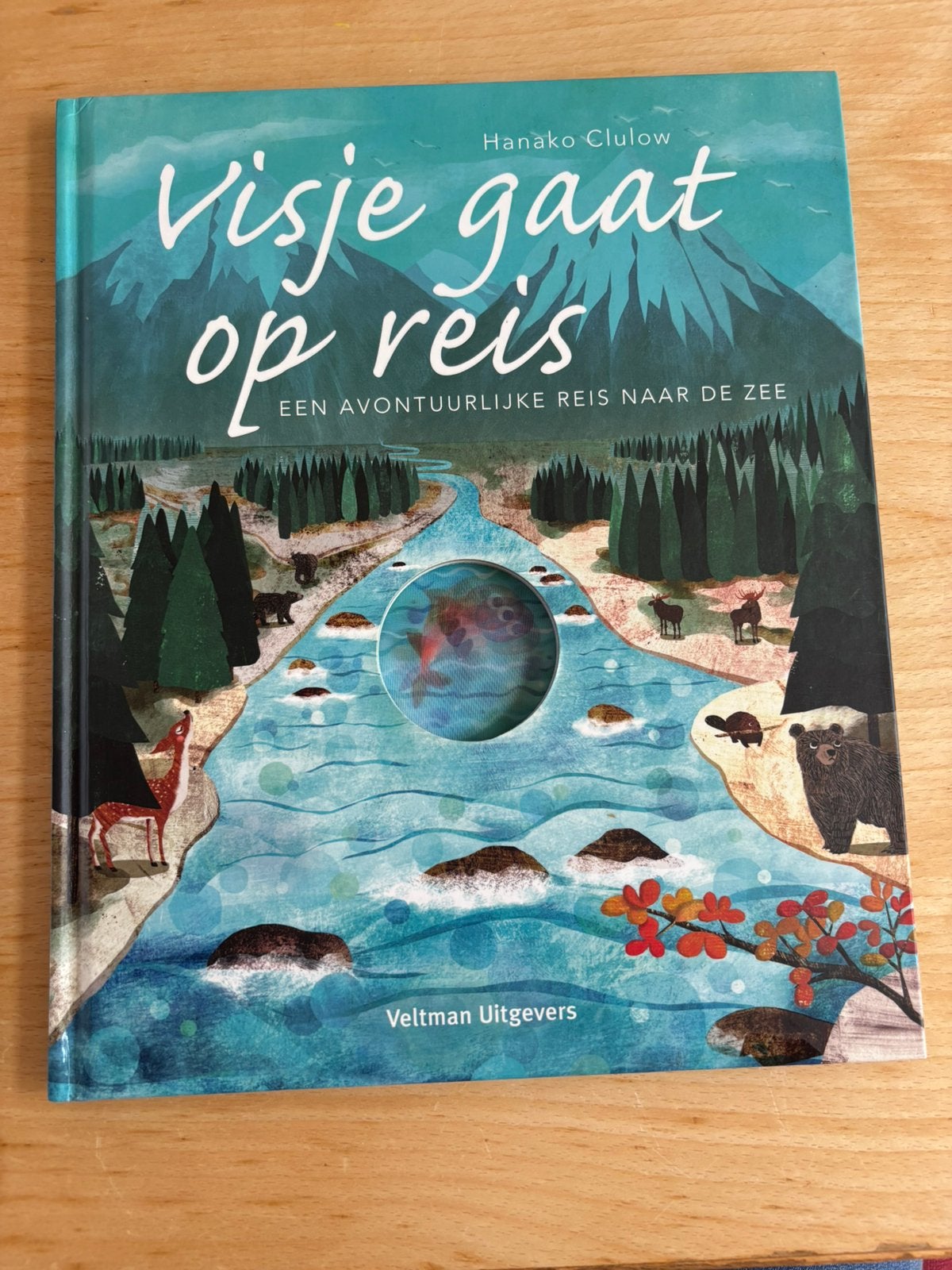 Patricia Hegarty - Visje gaat op reis, Boeken, Ophalen of Verzenden, Nieuw, Patricia Hegarty