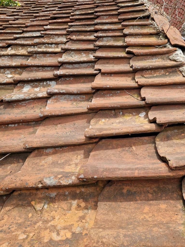 Oud Hollandse dakpannen - Authentiek en karakteristiek, Doe-het-zelf en Verbouw, Dakpannen en Dakbedekking, Ophalen, Gebruikt