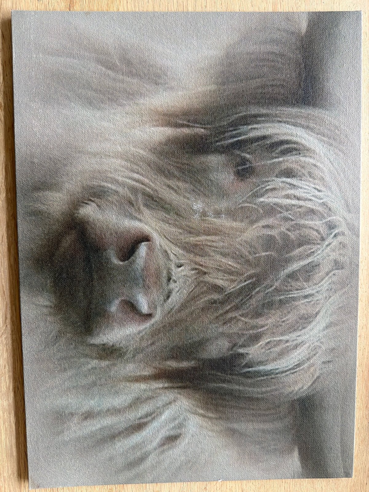 Schilderij van een Schotse Hooglander, Doek, Realistisch, Dieren, Ophalen of Verzenden